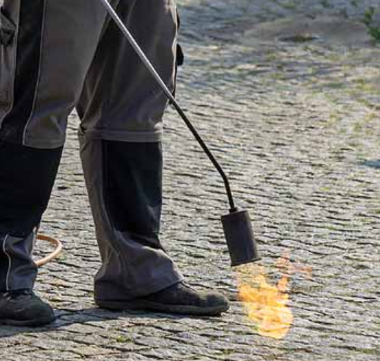 Desherbeur thermique accueil 2023 06 13 143545 ihmz